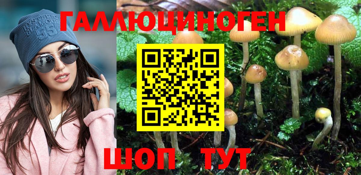 Галлюциногенные грибы MAGIC MUSHROOMS  Вход с VPN  Тихвин 