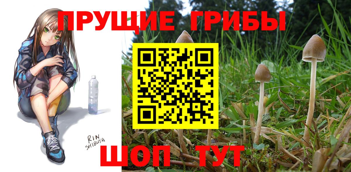 Галлюциногенные грибы мицелий Тихвин