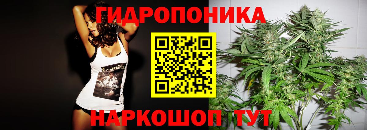 Конопля индика  Вход с VPN  Конопля LSD WEED  Тихвин 